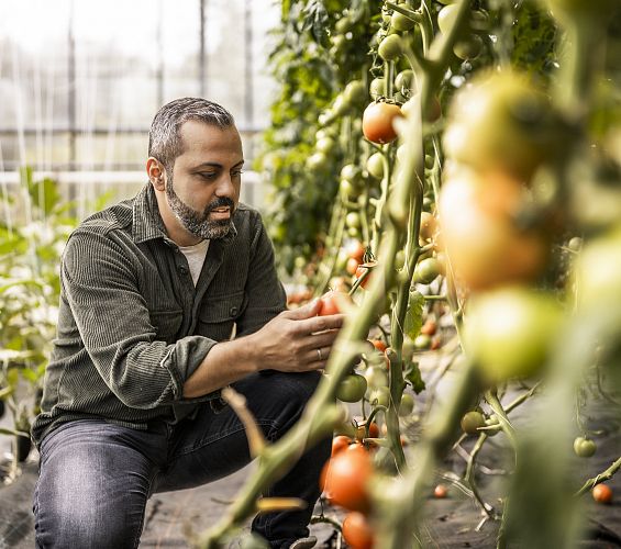Nachhaltigkeit im Resort - ein Bewußter Schritt